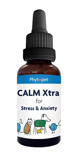 Calm extra bottle with dropper