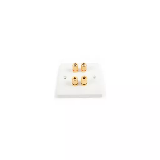 rsz_0_800_a8d68_white_twin_speaker_solder_wallplate.jpg?