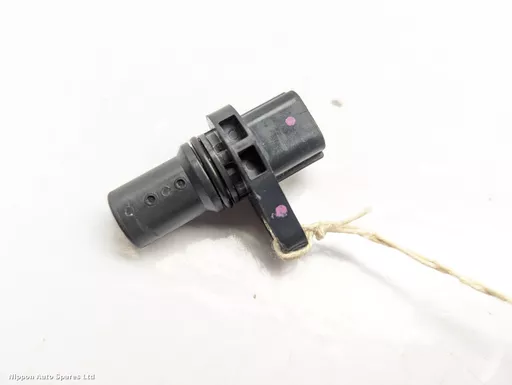 0a099b6d-9a01-4fda-81d2-107022d2879f.jpeg?