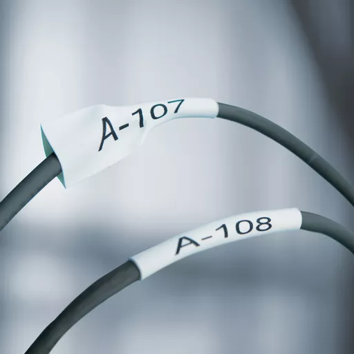 x_OpcvDf_EeIk9CU58VTYw.c-r.jpg?