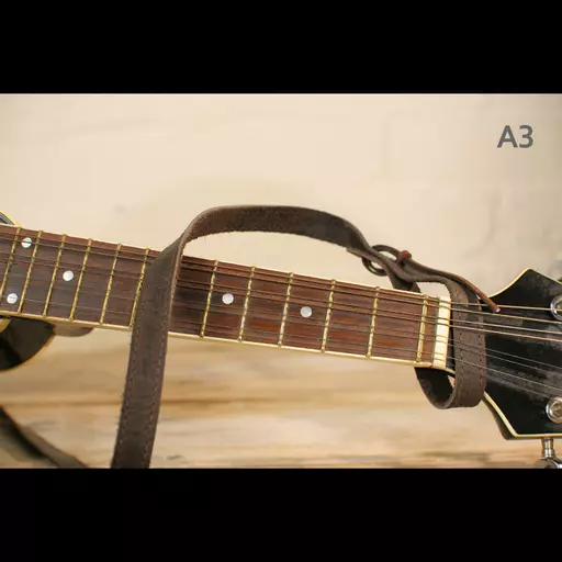 MS37 A3 mandolin brown 1.jpg