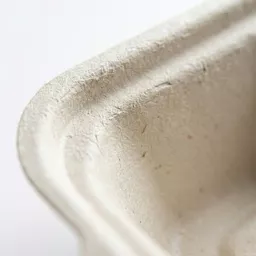 _0000s_0000_7 x 5_ Bagasse Food Container.jpg