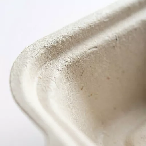 _0000s_0000_7 x 5_ Bagasse Food Container.jpg