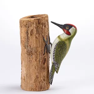 Green Woodpecker