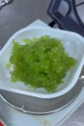 LM-115_Algae_Balls_97.webp