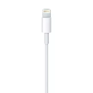 Apple Lightning to USB Cable (0.5 m)