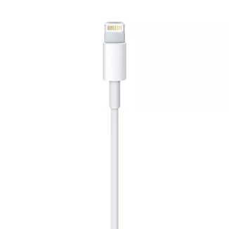 Apple Lightning to USB Cable (0.5 m)