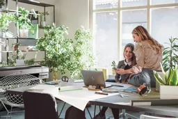 gRNeMj3Sbk2bvNqw7mPKfA.c-r.jpg?