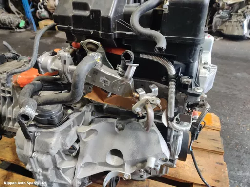 8136c087-176c-4c20-a2e0-d2ea253c95c5.jpeg?