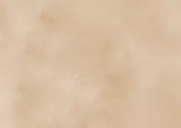 Light Sand.webp