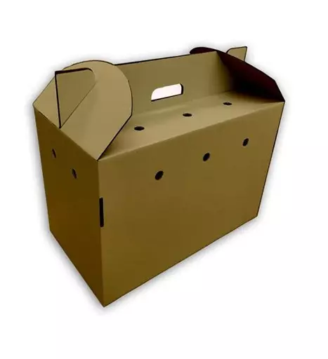 Cardboard Pet Carry Box