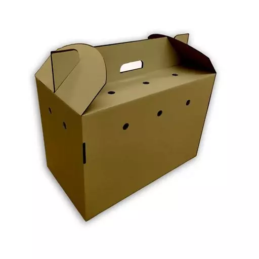 Cardboard Pet Carry Box