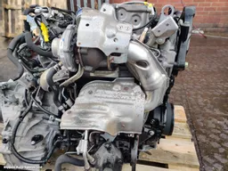 df386081-b837-49af-8068-9b9d16e48968.jpeg?