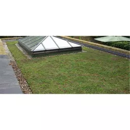 GrufeKit Sedum Trays Installation with Rooflight.jpg