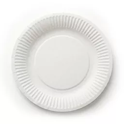 _0000s_0003_9_ Paper Plate White.jpg