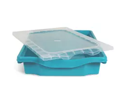 clear lid with tray.jpg