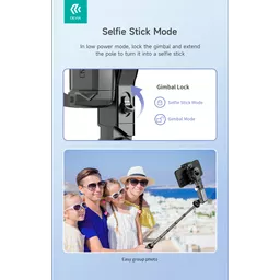 DEV-GIM-STRIPODLR-BLK12 (Copy).png