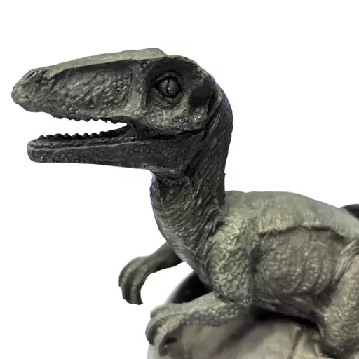 Dinosaur Hatching 4.jpg