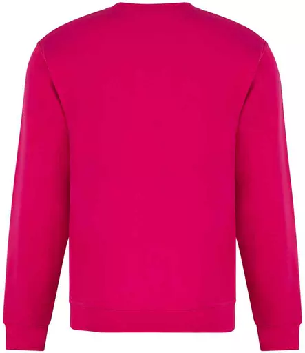 RX301%20FUS%20BACK.jpg?