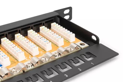 saFrd2tInEyjHPjs5UfcdQ.c-r.jpg?