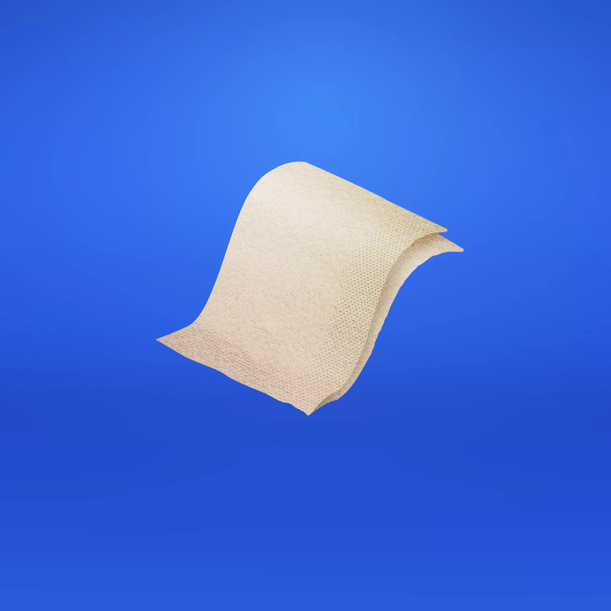 Bia Napkin.jpg