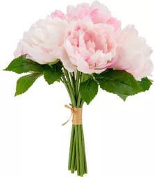 IT393845.jpg
