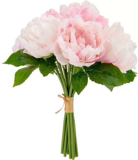 IT393845.jpg