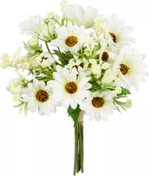 IT393817.jpg