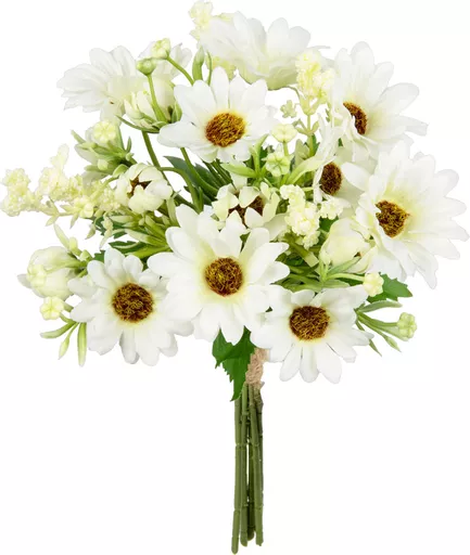 IT393817.jpg