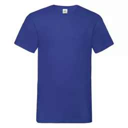 Men's Valueweight V-Neck T-Shirt