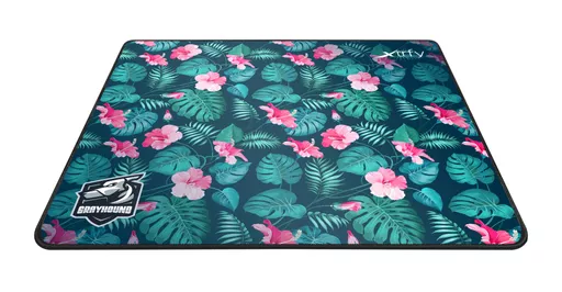 WtB18KSrIkyfsiKvFp6IZA.c-r.jpg?