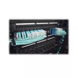 S7WmNoYB80eN1QPF3YFKCA.c-r.jpg?