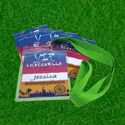 FestivalStandardLanyard3.png