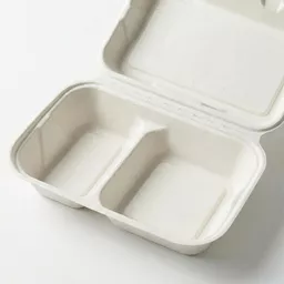 _0000s_0001_9 x 6_ Bagasse Food Container - 2 Compartment.jpg