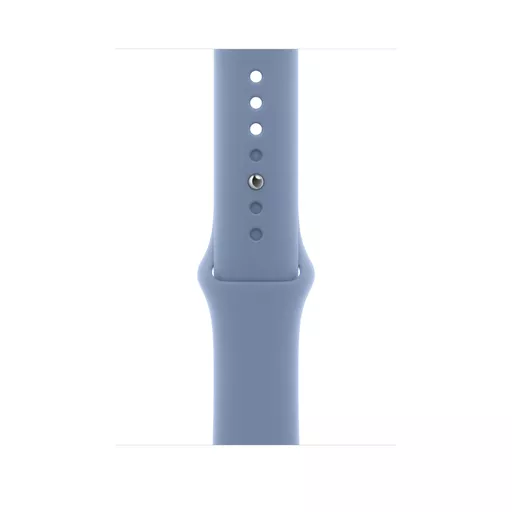 Apple MT443ZM/A Smart Wearable Accessories Band Blue Fluoroelastomer