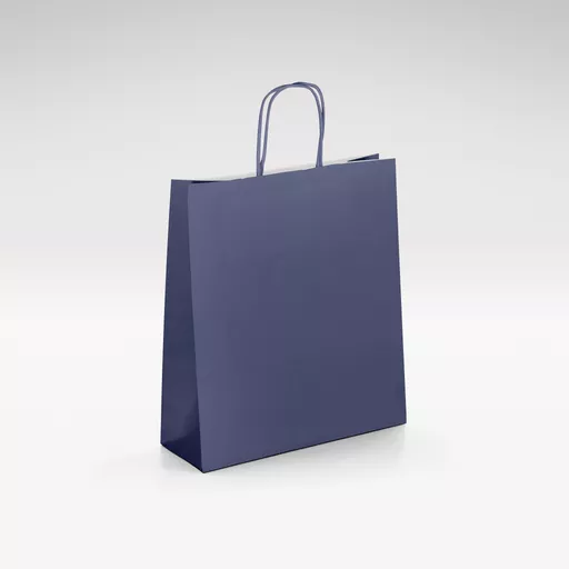 White-kraft-navy-blue-twist-bags-Small.jpg