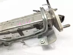 a381ae33-34c8-4eb3-aff0-a4ec1c743450.jpeg?