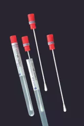 Deltalab-300261_Sterile-Swab-in-Tube_PS_Medline-Scientific.jpg