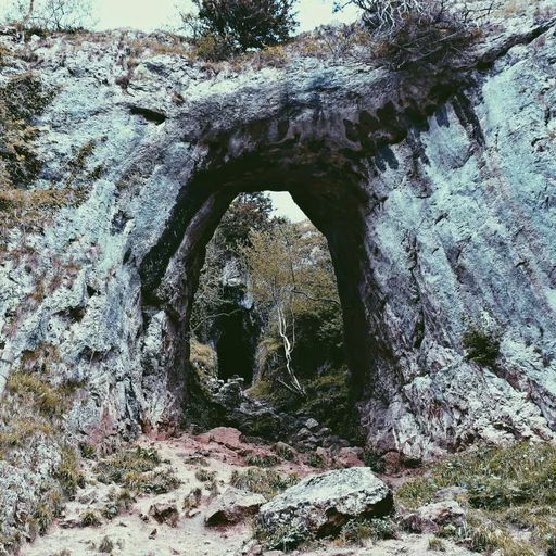 https://picsum.photos/1024?a=2