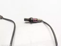 9798b844-e63e-4945-bc98-e72f24bd10d5.jpeg?