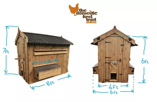 Chicken Nesting Box  Chicken House - Small Pet Select U.S.