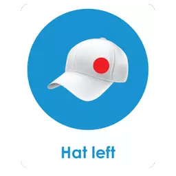Hat Left.png