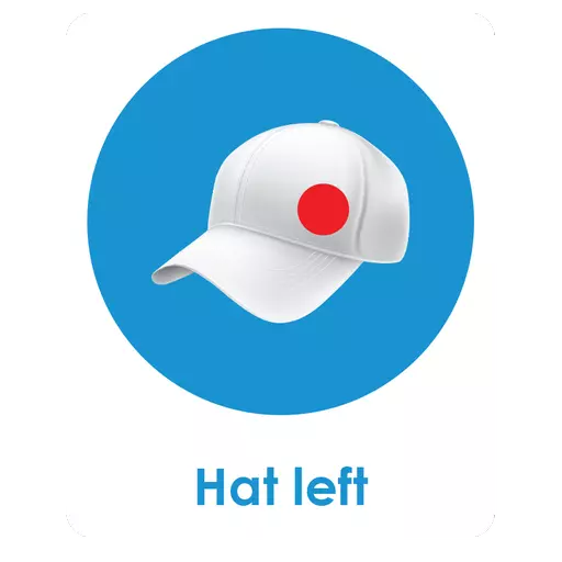 Hat Left.png