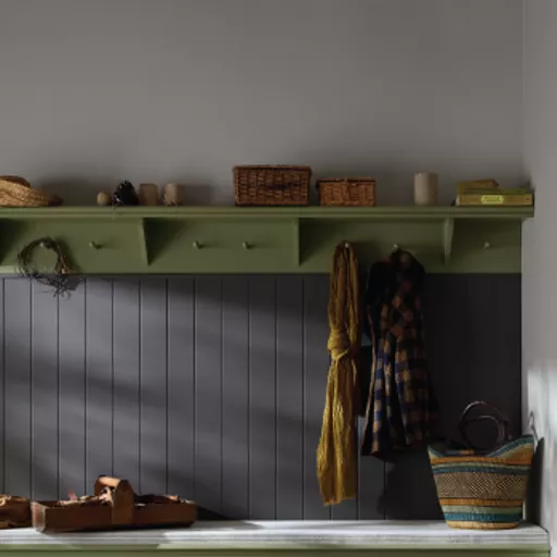 Mr Mole Lifestyle.webp