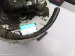 143b0f05-413d-4b4d-af2f-497a973f7313.jpeg?