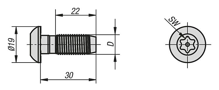 Screw. 10mm Slot Width. Steel.
