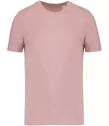 NS300%20PEL%20FRONT.jpg?