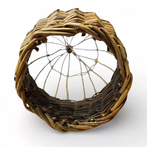 Small fish Trap 3.jpg