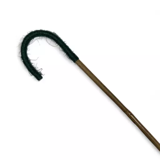 School Cane 2.jpg