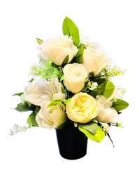 IMG_8723.png